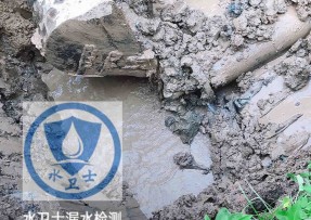 伊美区水管漏水检测公司5